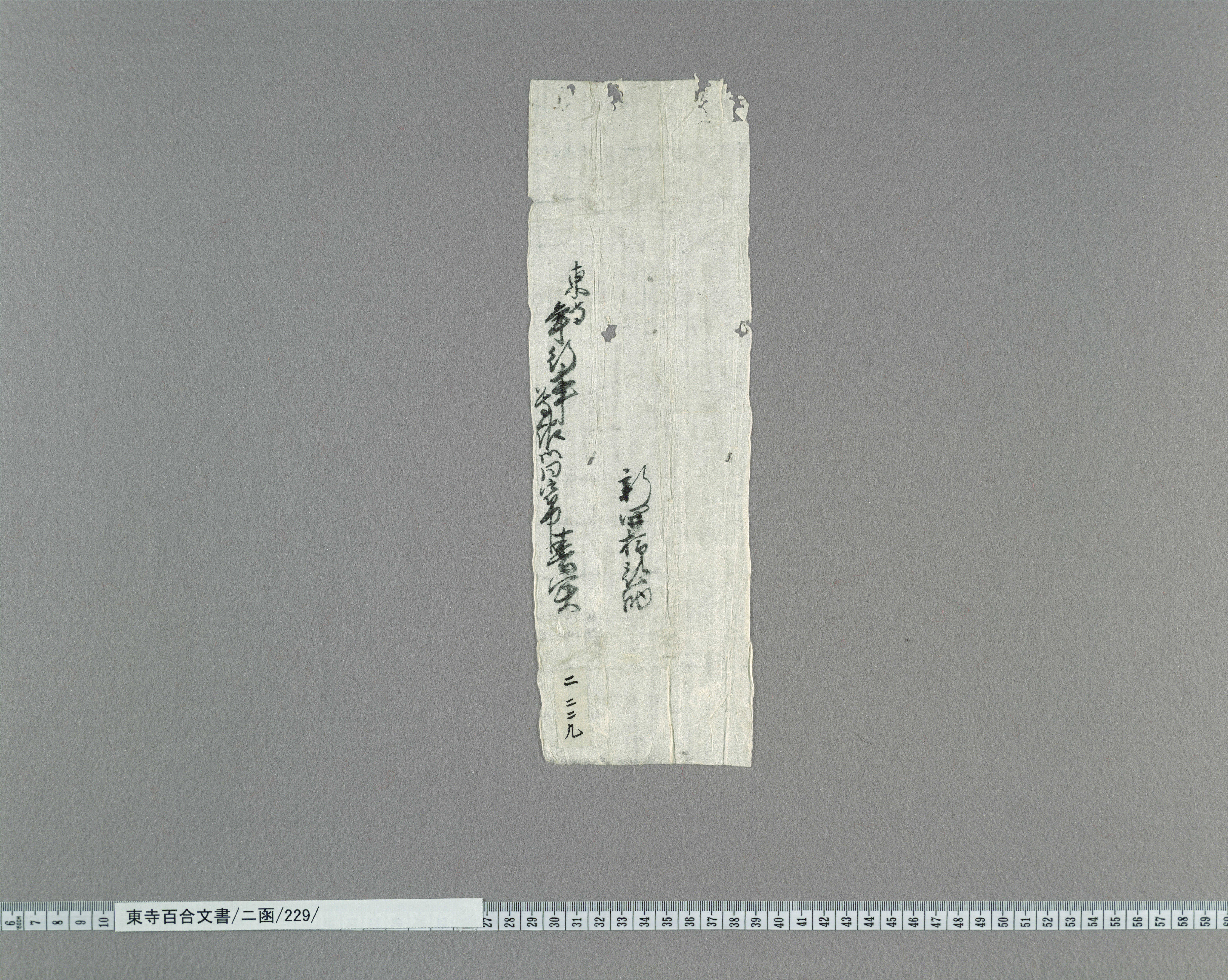 ニ函/229/：新開春実書状｜文書詳細｜東寺百合文書
