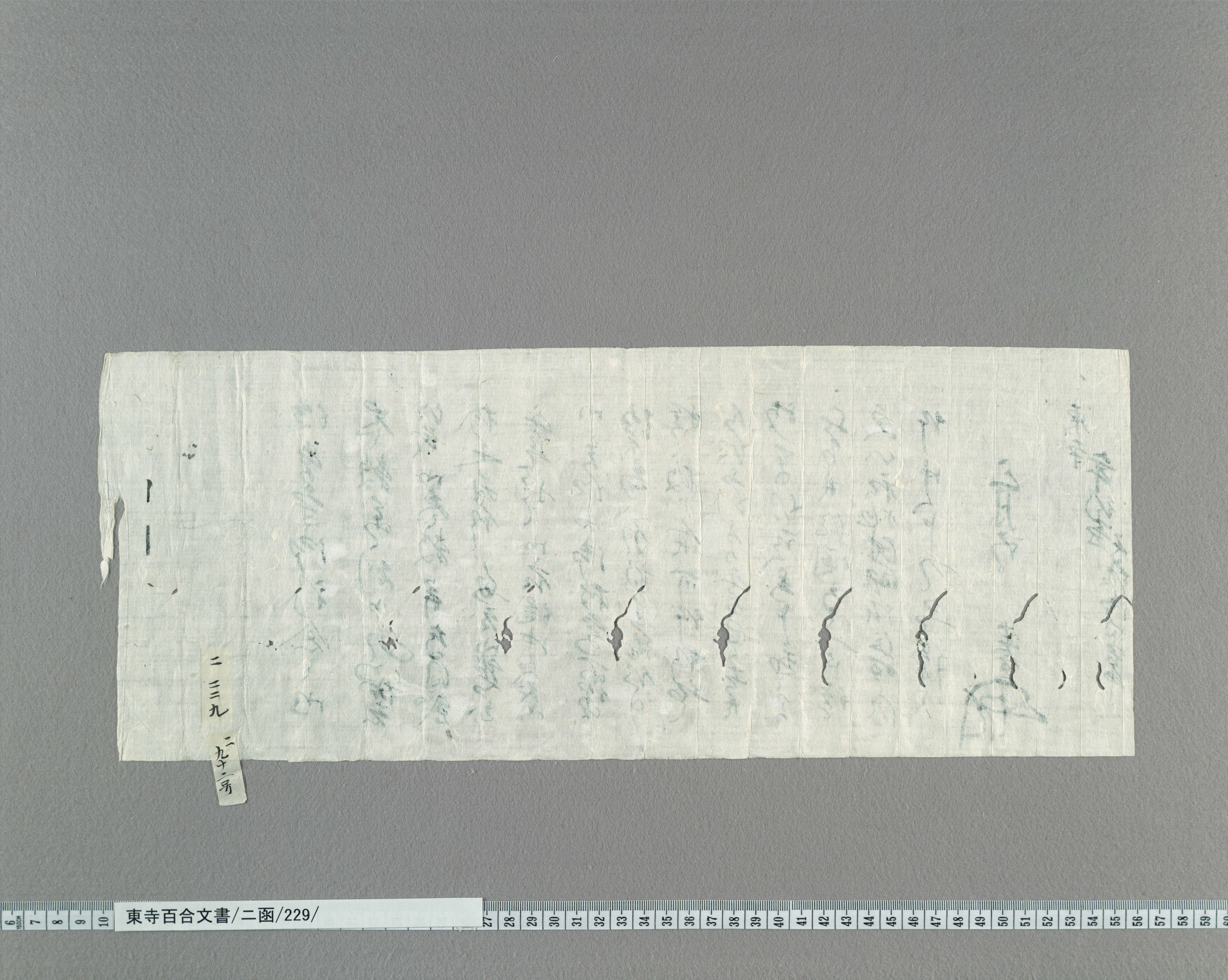 ニ函/229/：新開春実書状｜文書詳細｜東寺百合文書