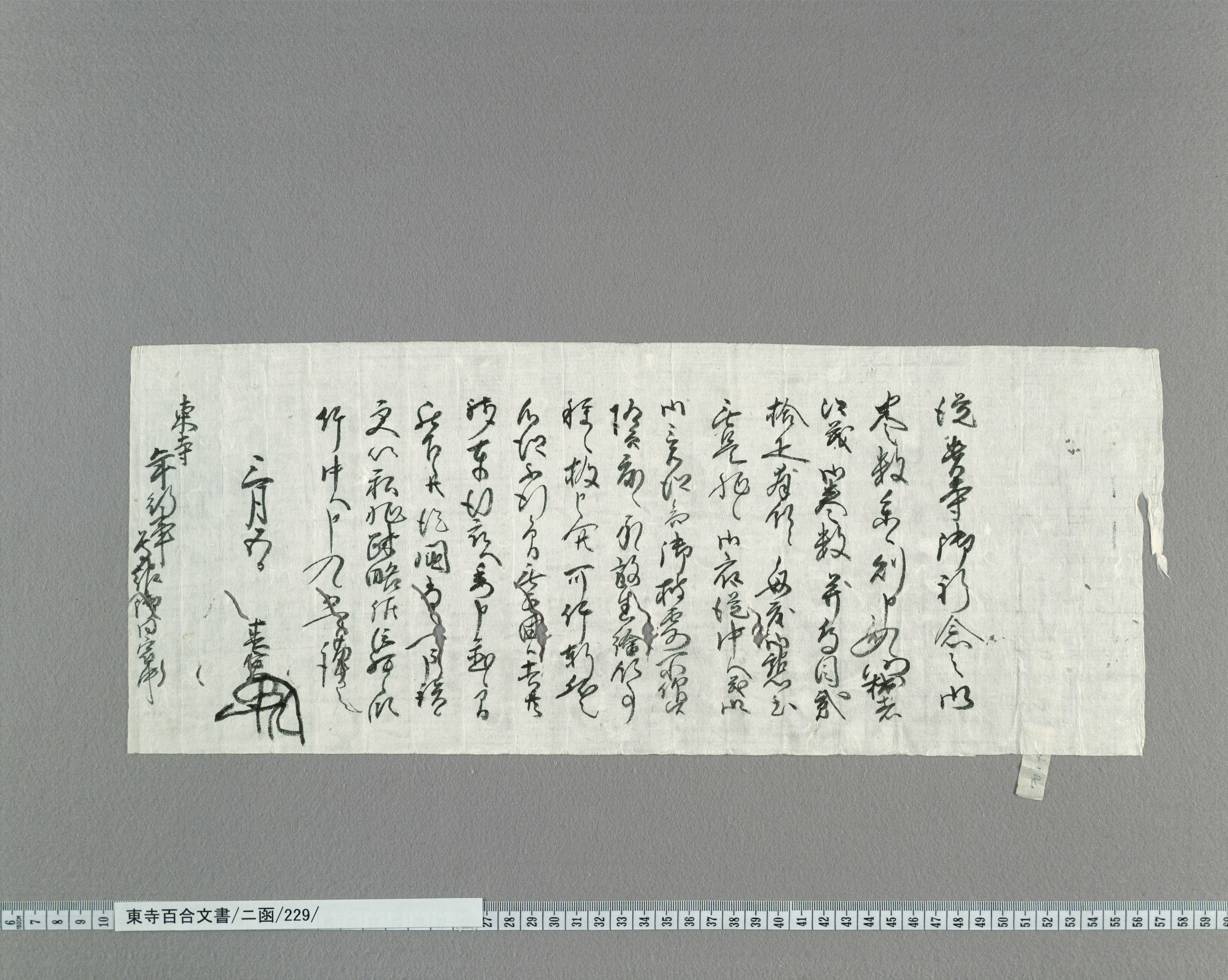 ニ函/229/：新開春実書状｜文書詳細｜東寺百合文書