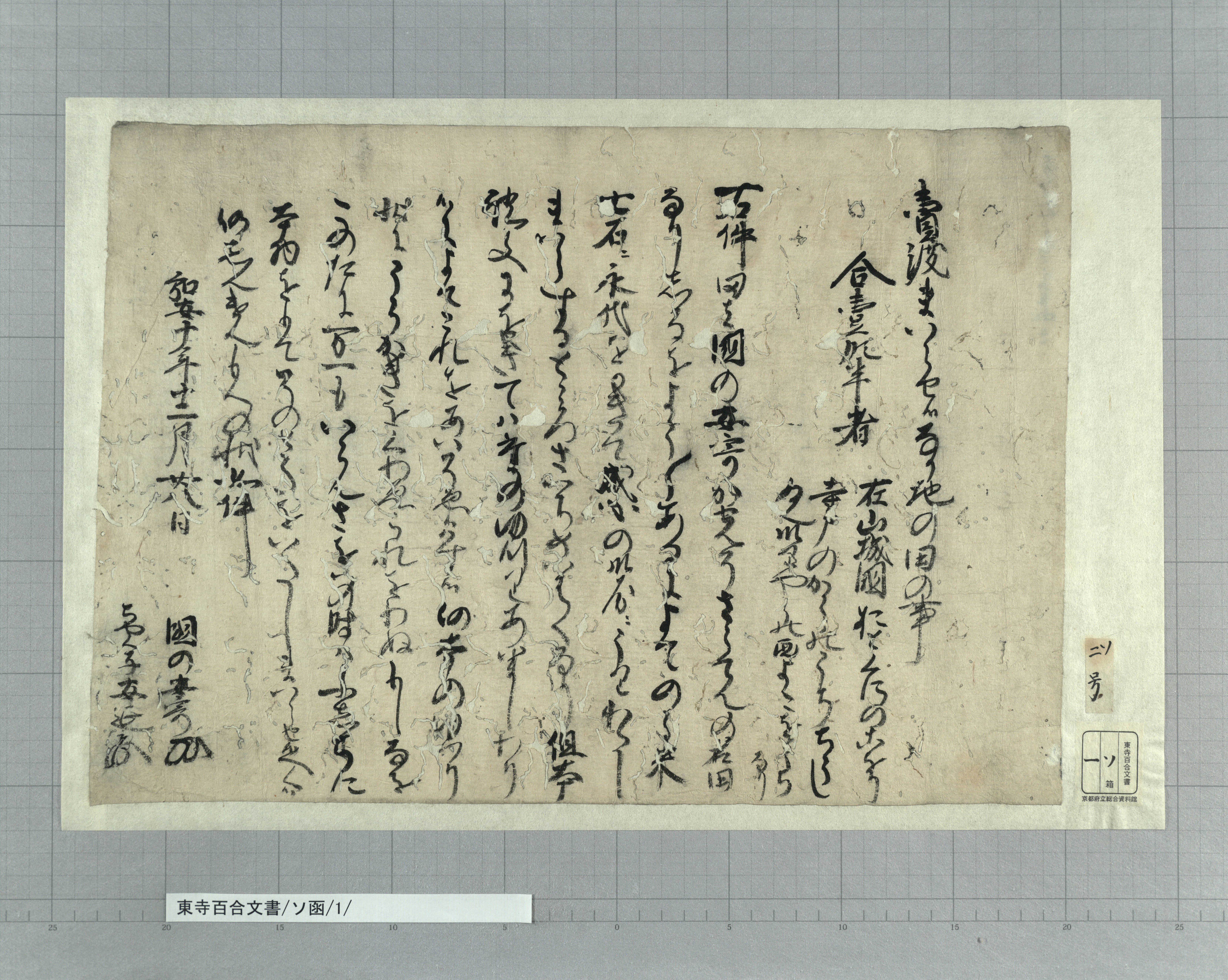 ソ函/1/：国の安寄田地売券｜文書詳細｜東寺百合文書