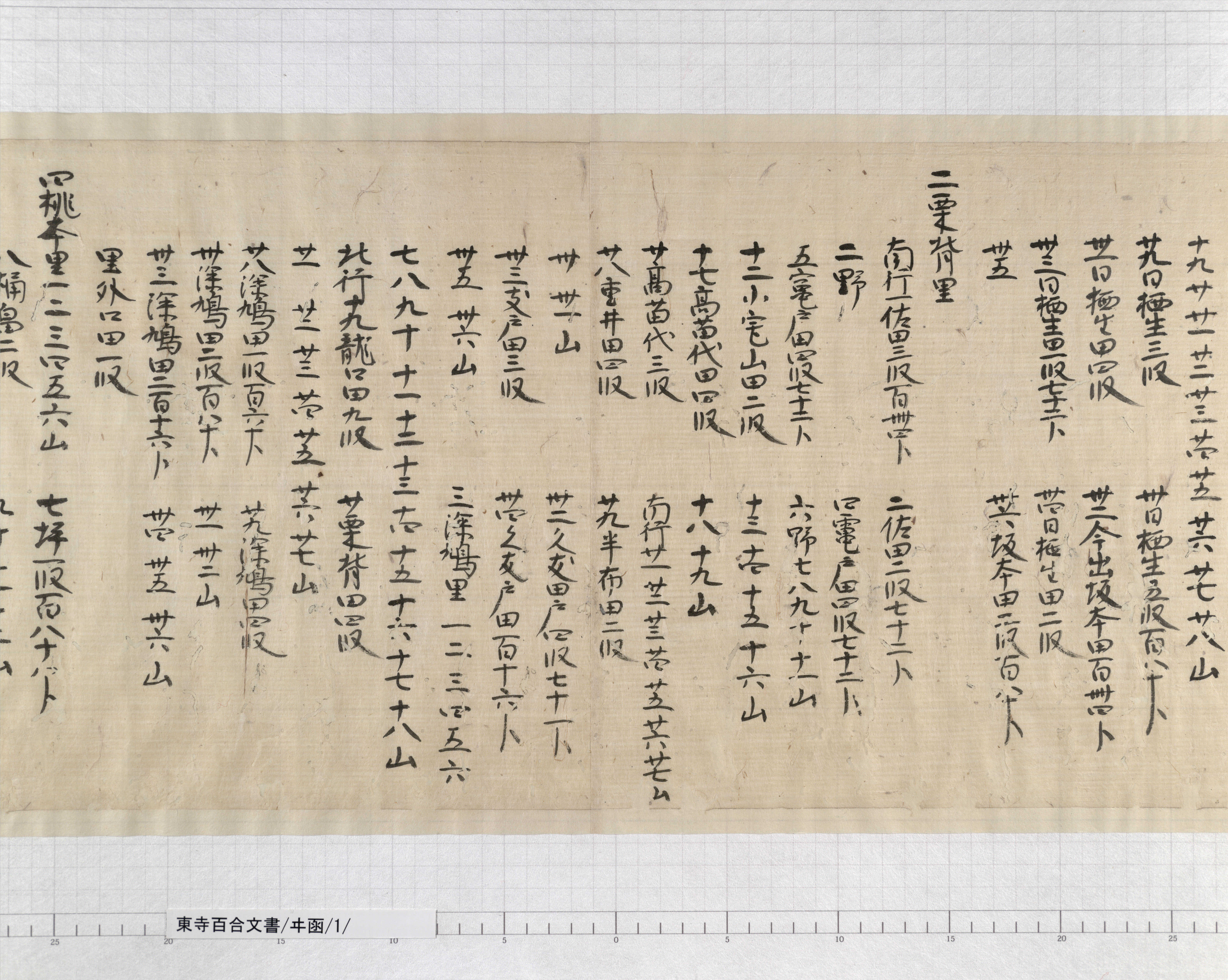 ヰ函/1/2/:丹波国大山庄司解案|文書詳細|東寺百合文書 ヰ函/1/2/:丹波国大山庄司解案|文書詳細|東寺百合文書