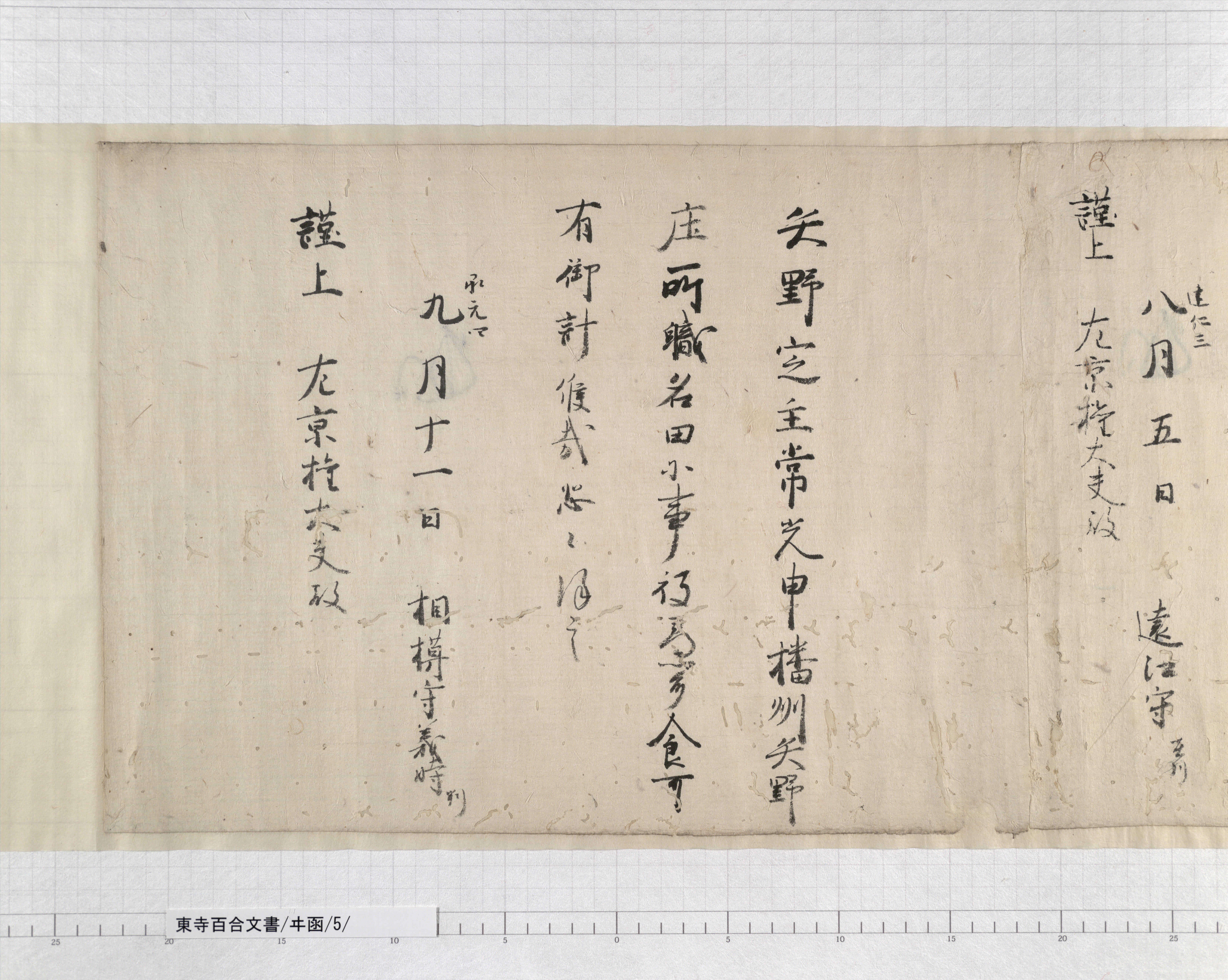 ヰ函/5/2/：播磨国赤穂郡司秦為辰解案｜文書詳細｜東寺百合文書