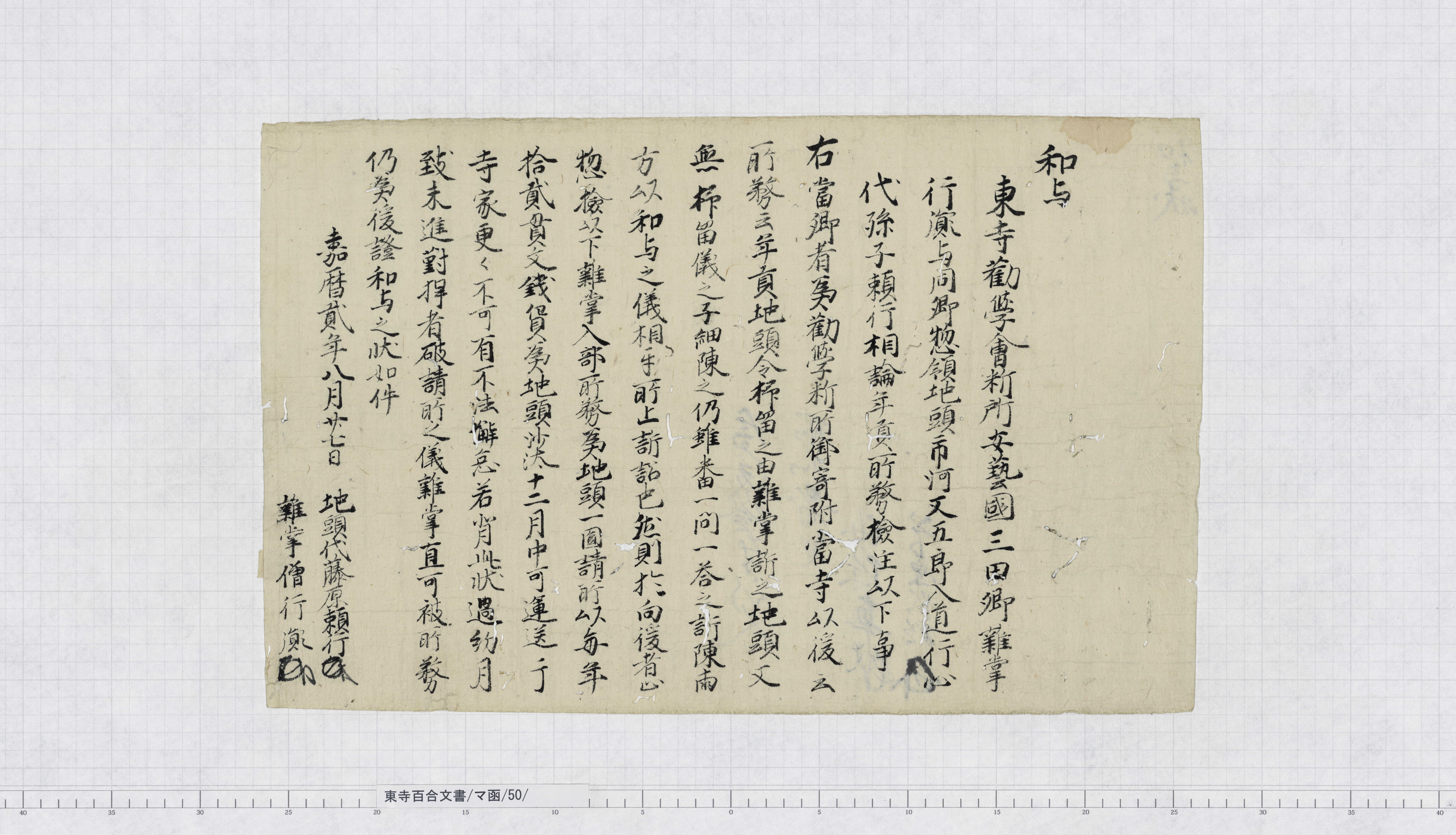 マ函/50/1/：六波羅裁許状｜文書詳細｜東寺百合文書