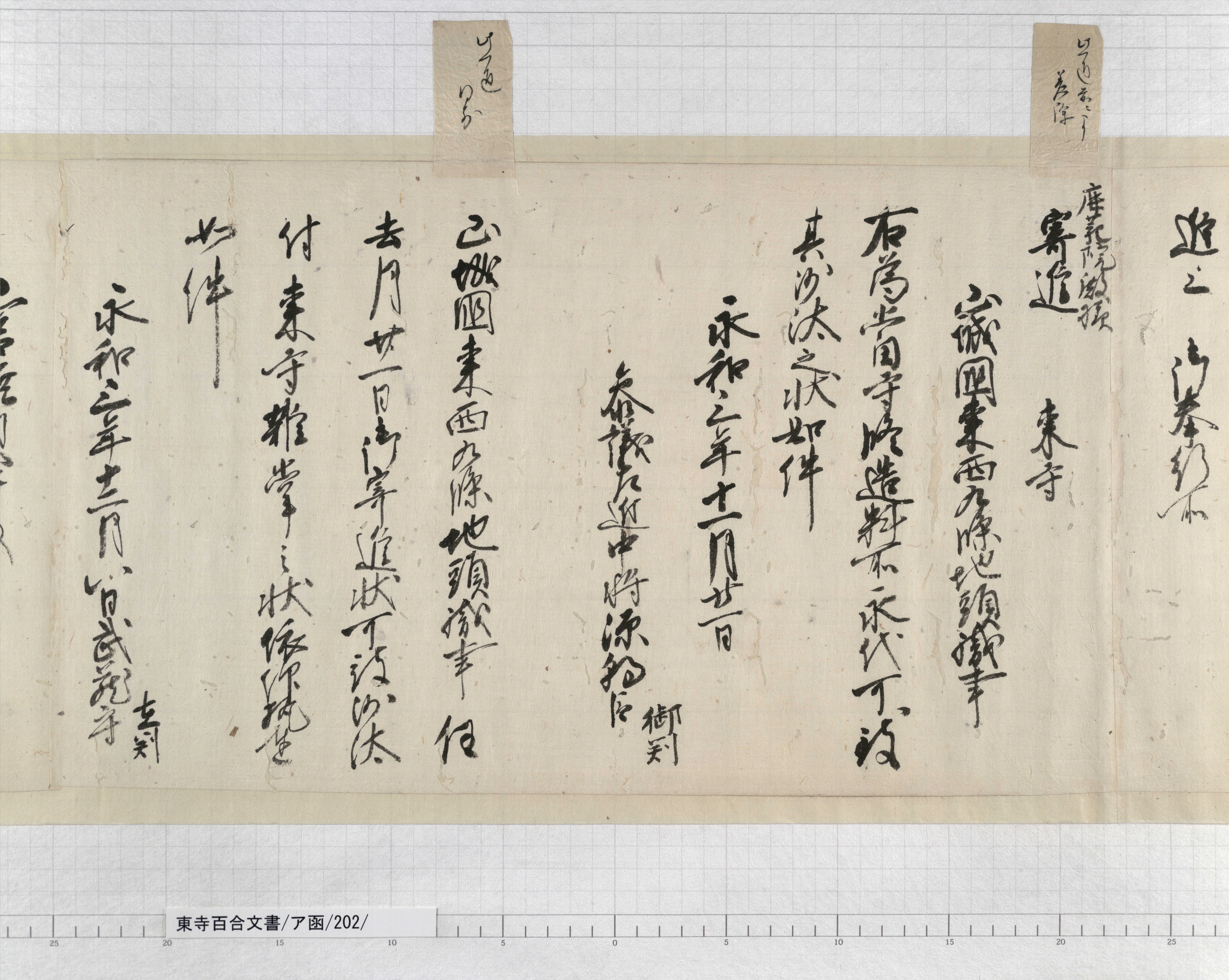 ア函/202/9/：室町幕府下知状案｜文書詳細｜東寺百合文書