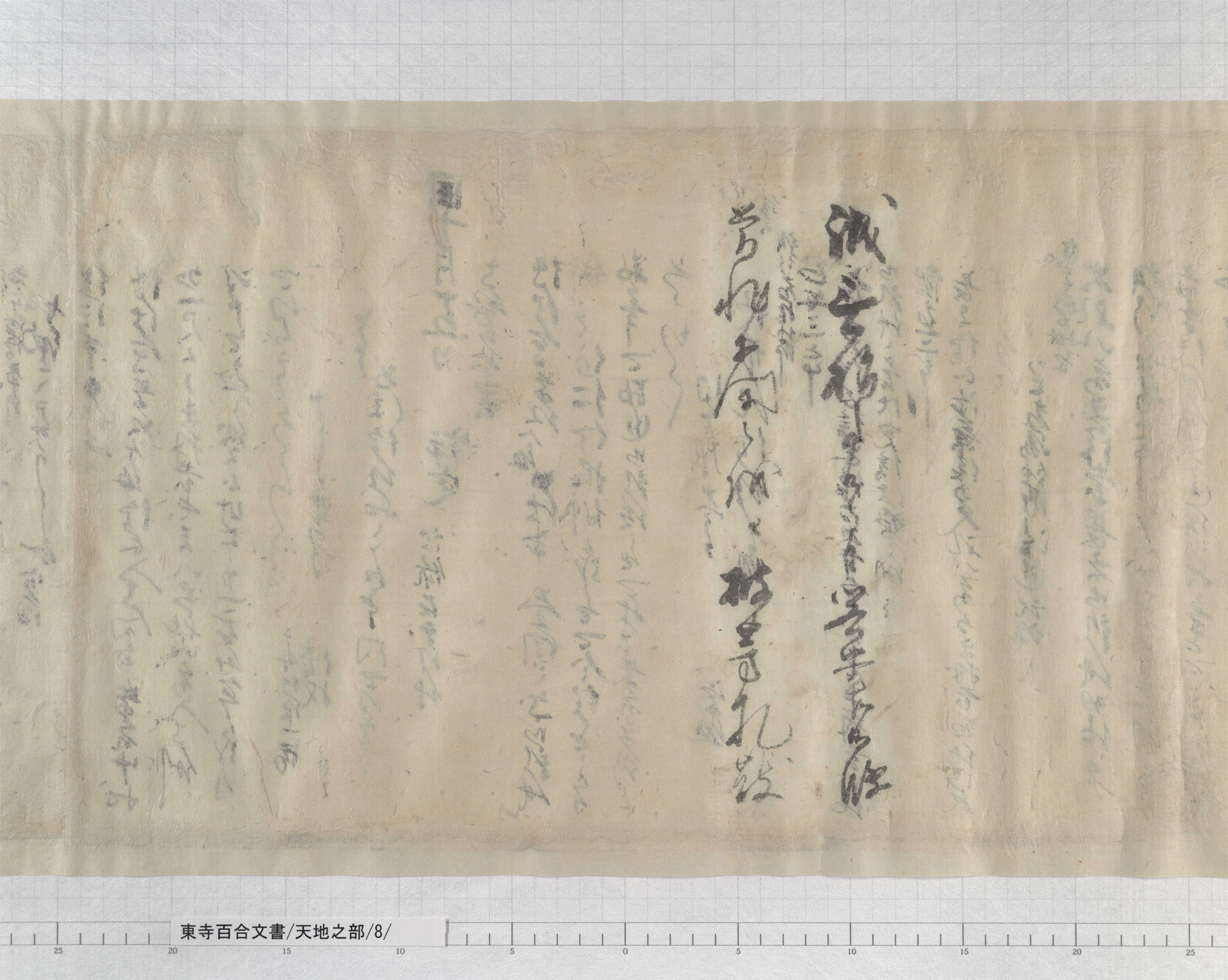 天地之部/8/紙背/7/：東寺雑掌頼憲申状｜文書詳細｜東寺百合文書